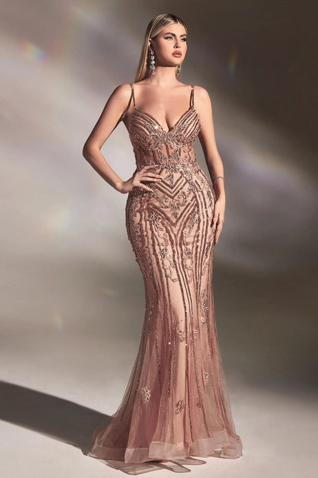 Fitted Embellish Lace Mermaid Gown